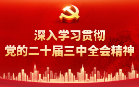 深入學(xué)習(xí)貫徹黨的二十屆三中全會(huì)精神